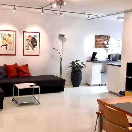 Appartement Lofts Oppenheim
