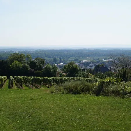 Lofts 公寓 奥彭海姆