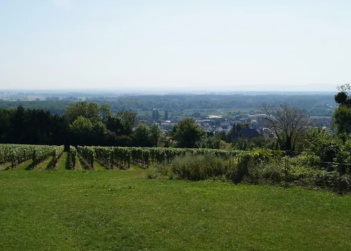 Lofts Apartament Oppenheim